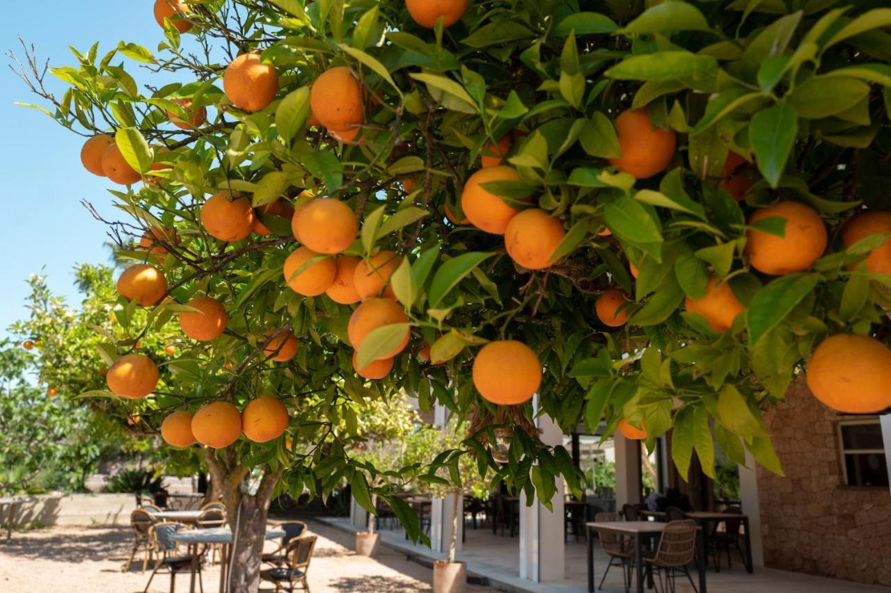 Can Arabi - Adults Only Puig D'en Valls Екстер'єр фото