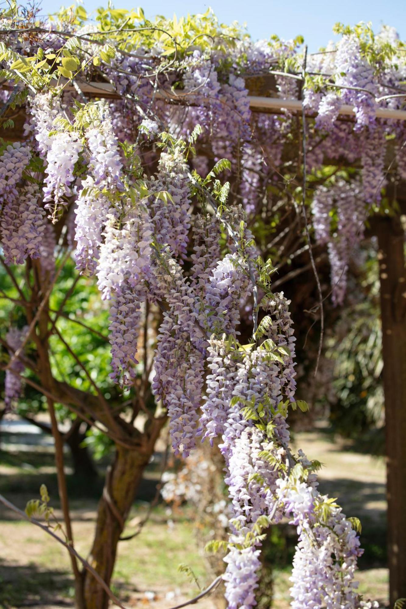 Can Arabi - Adults Only Puig D'en Valls Екстер'єр фото